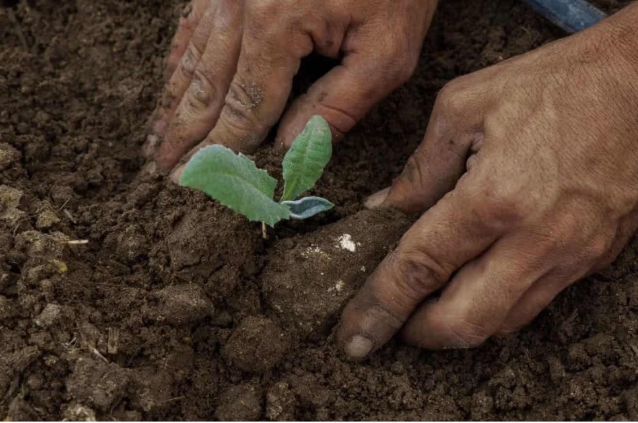 Turismo regenerativo/sostenible